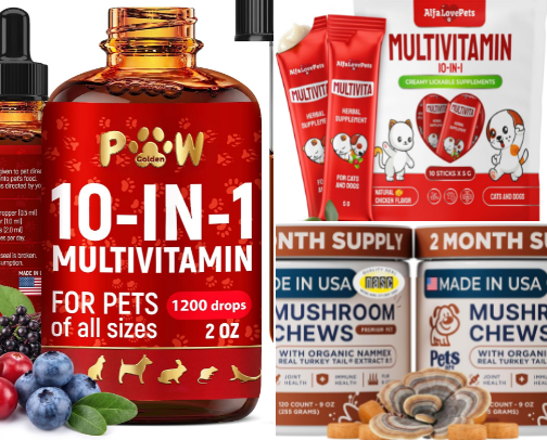 Senior Dog Must-Haves (From a Giant Breed & a Small Breed) from Amazon cover photo collage