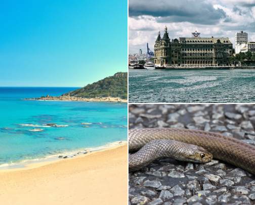 Looking for a Good Hotel in Şile, Istanbul, Turkey? Start Here cover photo collage