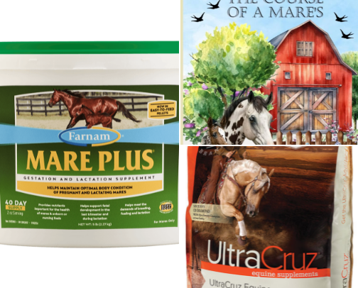 Amazon mare pregnancy care cover photo collage