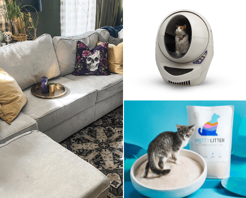 Must Haves for Pet Owners cover photo collage