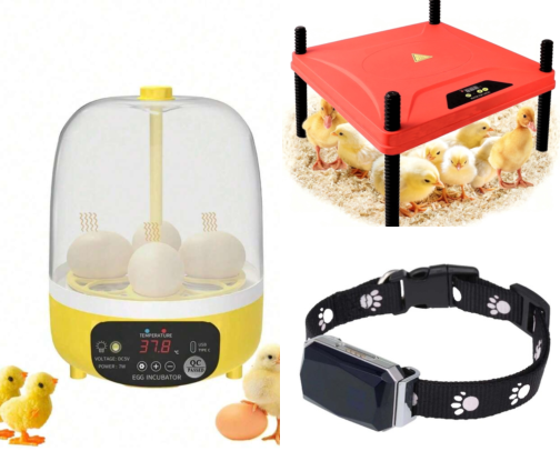 The Pet Wellness & Tech Focus
​Next-Gen Pet Care: Trending Products Every Owner Needs cover photo collage