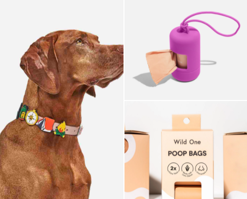 Pets 🐕🐩🦮🐈‍⬛ cover photo collage