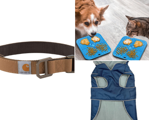 Dog essentials cover photo collage