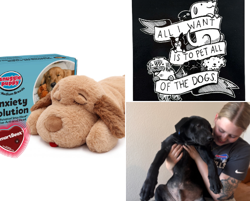 🐶 New Puppy Must-Haves (My Favorite Products) cover photo collage