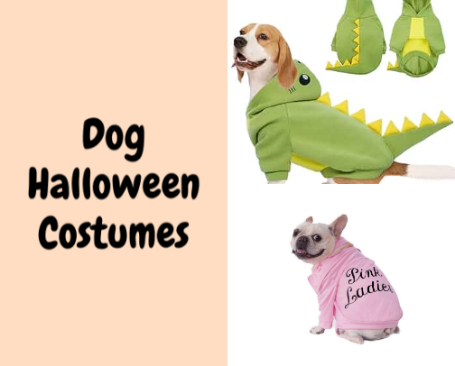 BOO! Halloween Dog Costume Ideas! 👻🎃 cover photo collage