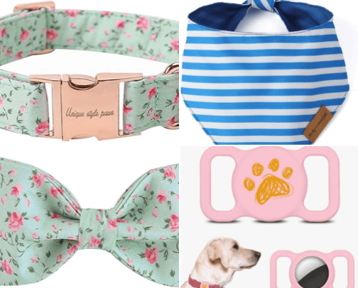 Fur Real: The Dog Lover's Essentials cover photo collage