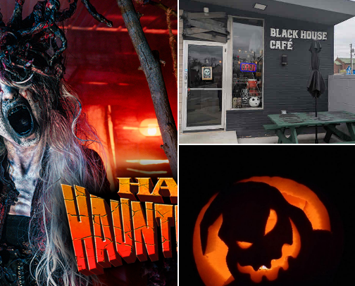 Everything on my Fall Bucket List 🍁🎃 cover photo collage