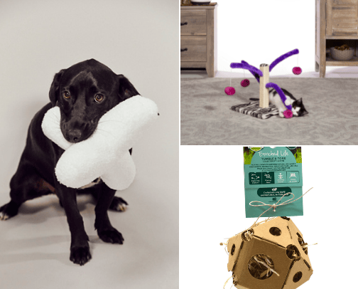 Pet Toys cover photo collage