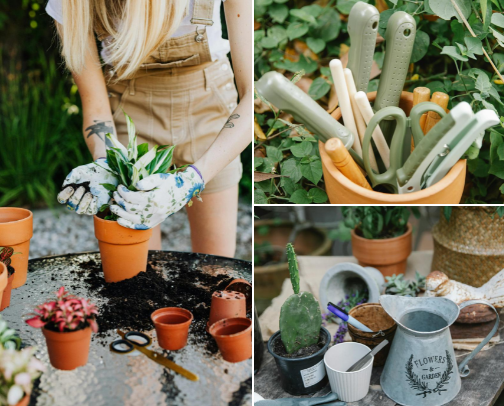 Beginner-Friendly Gardening Tools for Your First Spring Flower Bed cover photo collage