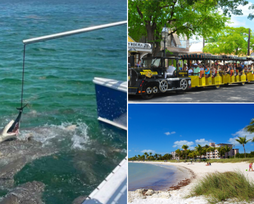 Top Family Fun in Key West, Florida 2026 Edition: Beaches, Aquarium, Conch Train, Boat Tours & Island Adventures cover photo collage
