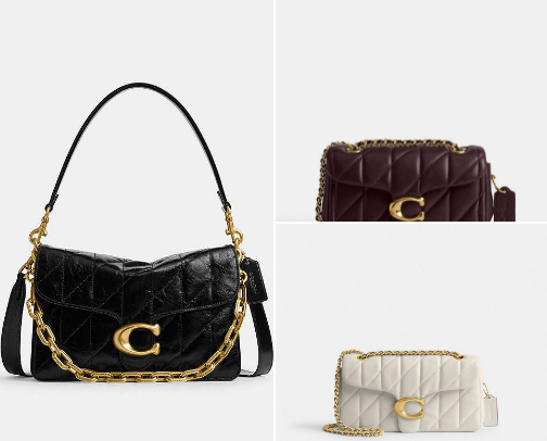 Carry Confidence: The Charm of Coach Handbags👜 cover photo collage