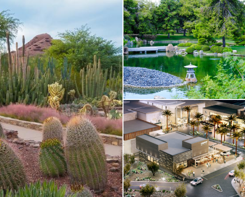 My Go-To List of Places to Go in Phoenix Area cover photo collage