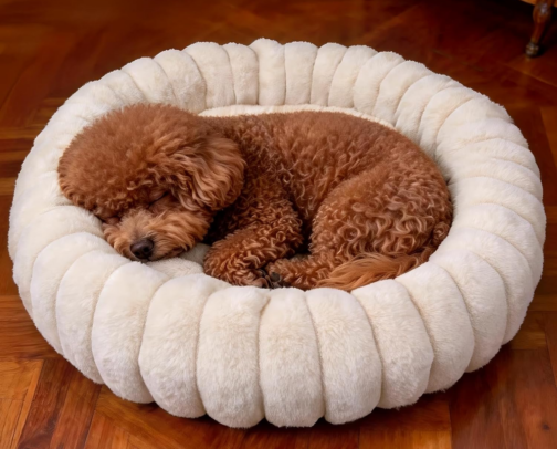 dog-friendly home essentials that don't ruin your decor cover photo collage