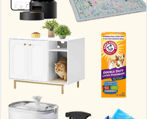 Cat ownership essentials cover photo collage