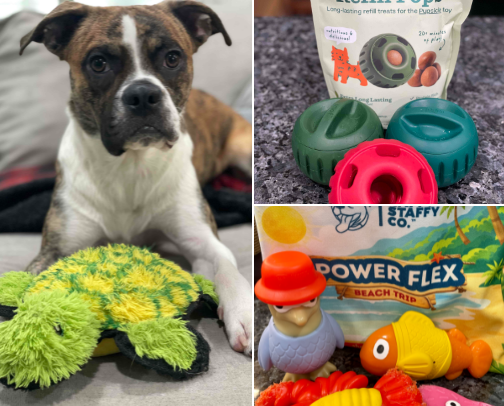Dog-Approved Durable Toys for Aggressive Chewers cover photo collage