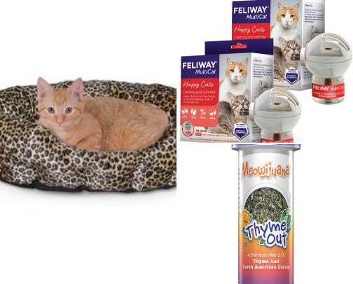 multi-cat household favorites: basics, toys, and more cover photo collage