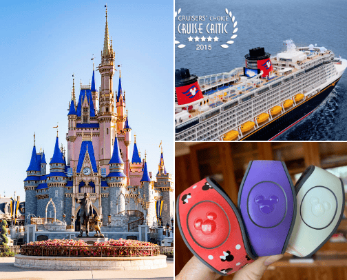 Disney Adventure Must-Haves!! cover photo collage