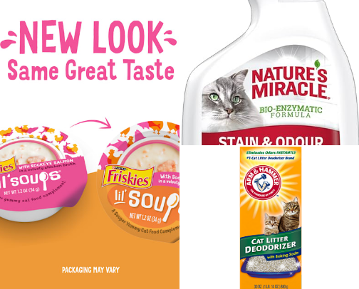 Persian Cat (And Cats in General) cover photo collage