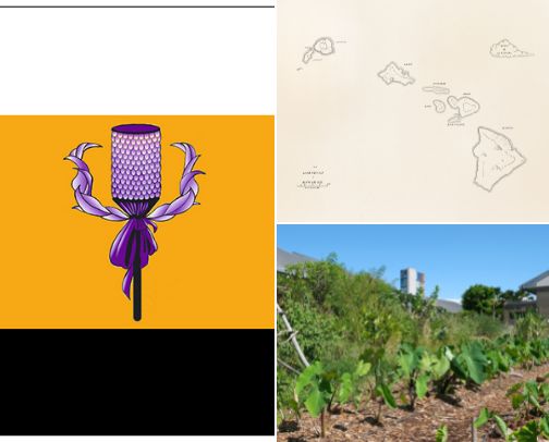 Mālama ‘Āina 🏞️💗 cover photo collage