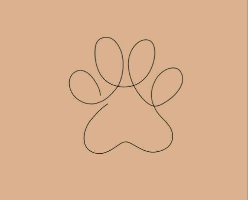 Puppy Essentials cover photo collage