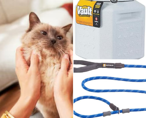 Pets essentials cover photo collage