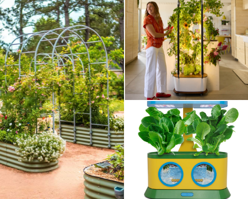 The Cozy Homestead Money Stack cover photo collage