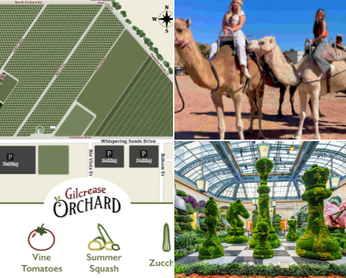 Fun Things To Do Near Las Vegas This Autumn cover photo collage