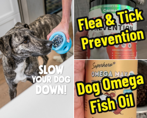 Pet Supplies cover photo collage