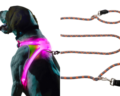 Walking Supplies (for dog) cover photo collage