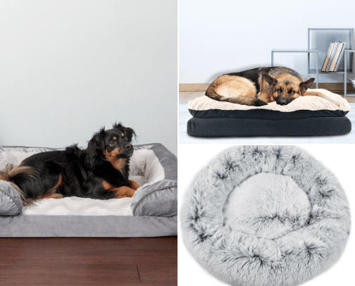 Keeping Your Fur Babies Warm and Cozy! cover photo collage