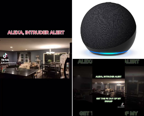 As seen in my "Alexa, Intruder Alert" videos cover photo collage