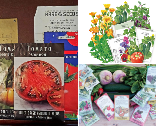 Favorite gardening supplies cover photo collage
