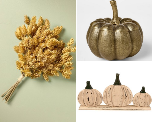 Fall 2025 Vibe cover photo collage