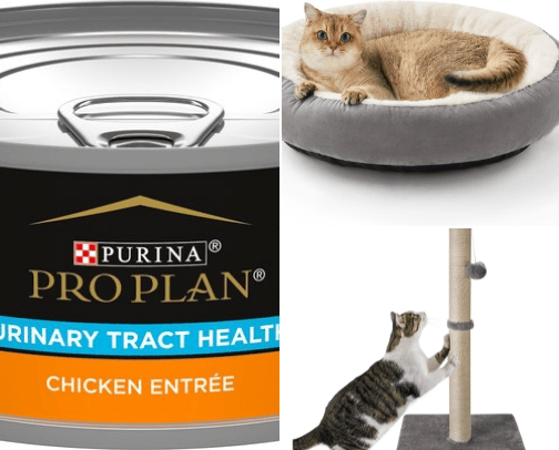 Cat Herder cover photo collage