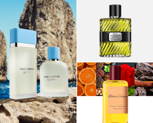 Citrus parfumes 🍊 cover photo collage