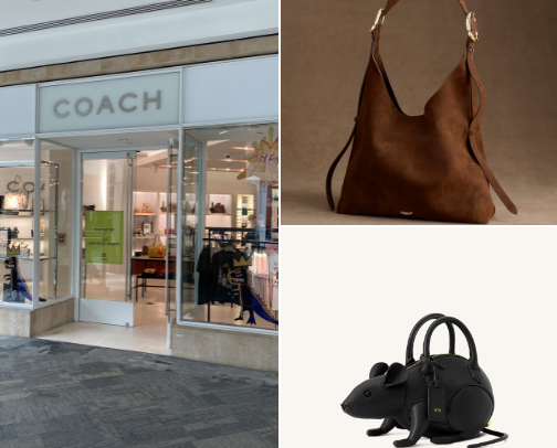 Best Handbags That Look Designer Without the Price Tag cover photo collage