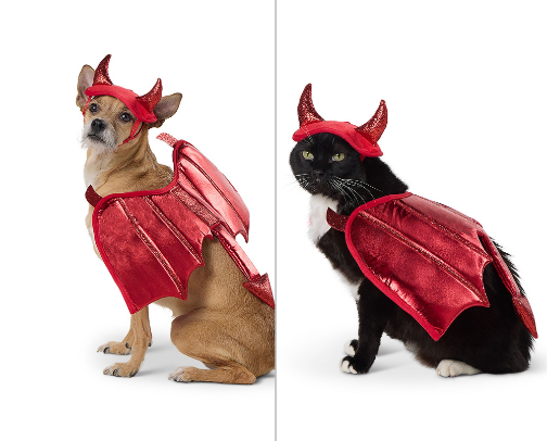 Pet obsessed! cover photo collage