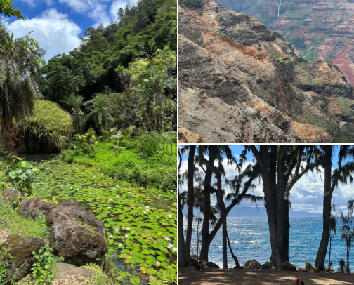 Hawai'i Local Recommendations cover photo collage