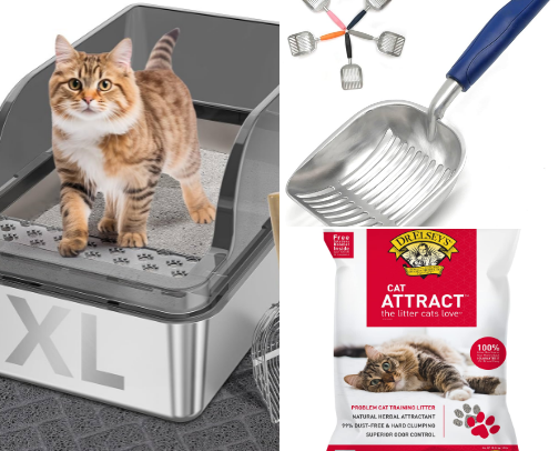 Kitty Essentials cover photo collage