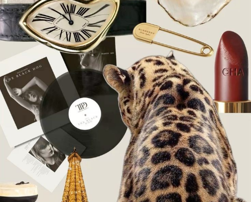 2025 Fashion trends I'm loving! cover photo collage