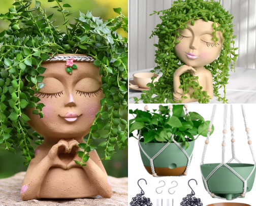 Unhinged Plant Lady Starter Pack cover photo collage