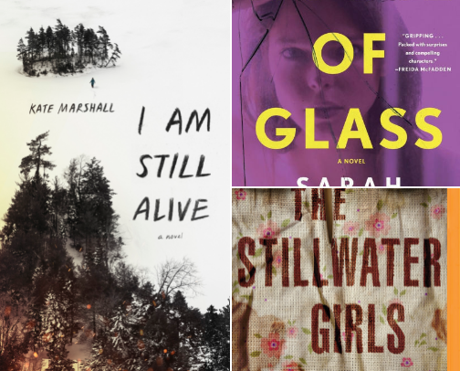 Thriller Book Recommendations! cover photo collage