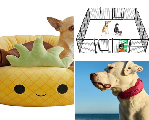 Pets favorites cover photo collage