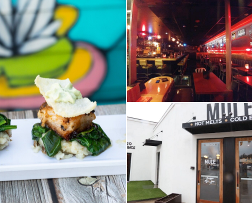 Best of Oklahoma and Why! cover photo collage