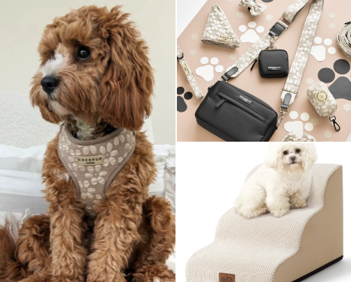 Dog finds cover photo collage