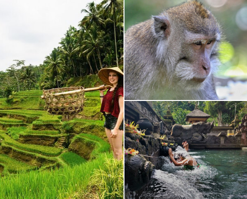 Discover beautiful destinations that fill your heart with joy and bring peace to your mind cover photo collage