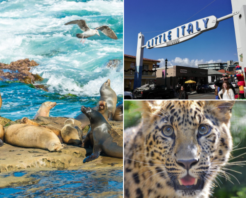 Top Places to visit in San Diego cover photo collage