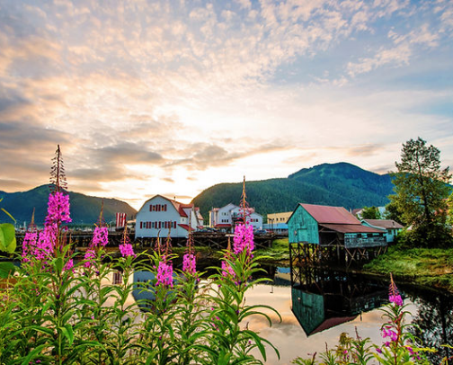 Act like a Local in Petersburg, AK cover photo collage