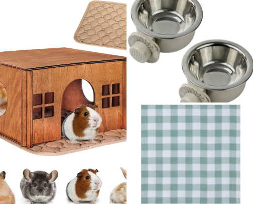 Guinea Pig Cage Setup Essentials for a Cozy Cavy Home cover photo collage