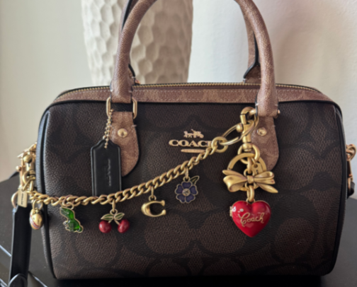 brown coach rowan & accessories. 🤎 cover photo collage